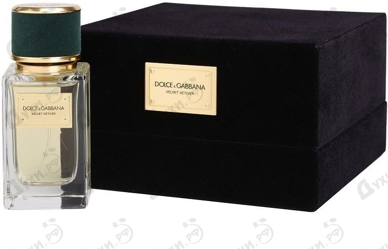 dolce gabbana velvet vetiver 150ml